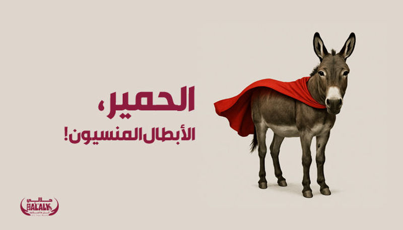 الحمير، الأبطال المنسيون!